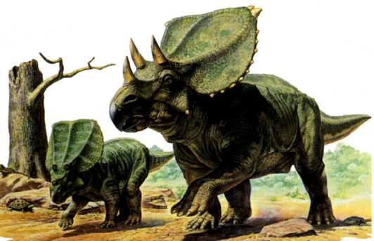 Chasmosaurus Image