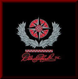 Dale Earnhardt Inc. Logo