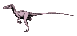 Animated Raptor