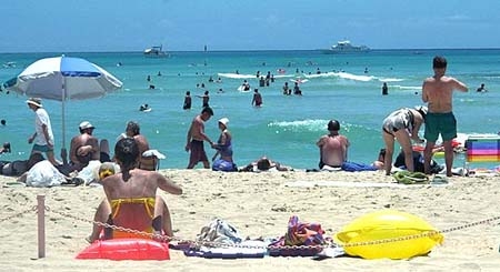 Waikiki Beach Image