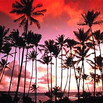 Hawai'i Sunset Image