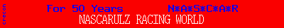 NASCAR Banner Image