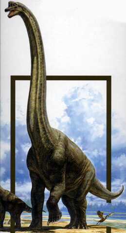 Bronciosaurus Image