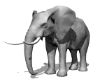 Animated Elephant Ears