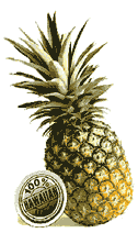Hawai'i Pineapple Image